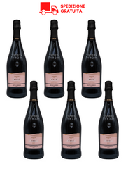 Box 6 bottiglie Tosti1820 Alta Langa DOCG Rachele Rosé 2020