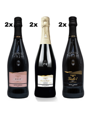 Box 6 bottiglie selezione Tosti1820 Alta Langa DOCG: 2019; Riserva 2012; Rosé 2020